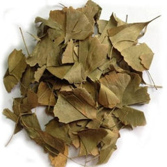 Ginkgo Biloba Leaf - driedflowersmarket.com