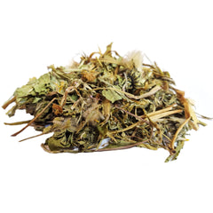 Dandelion Herb