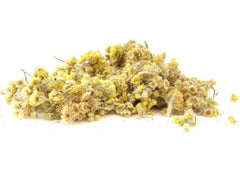 Helichrysum,Dried Flowers,DGStoreUK