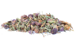 Red Clover - Dried Flowers - DGStoreUK.com