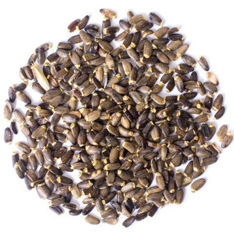 Milk thistle seeds - Dried Flowers Market . com
