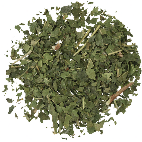 white mulberry leaf tea - driedflowersmarket.com