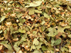 Hawthorn Flower & Leaf Tea DGStoreUK 