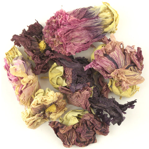 Violet Mallow - Hollyhock Dried Flowers DGStoreUK 
