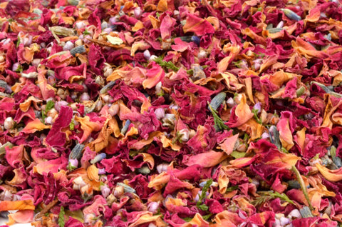 Autumn - Dried Flowers Market