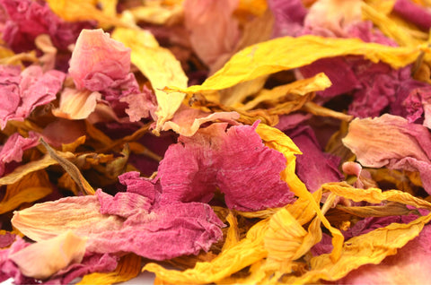 Candy Love - Dried Flowers Market