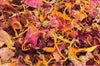 Sunset - Dried Flowers Market