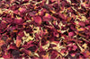 Iced Rose - Dried Flowers Market