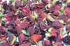Dried Rose Buds - Mix Pack,Dried Flowers,DGStoreUK
