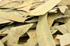 Eucalyptus Leaves,Tea,DGStoreUK