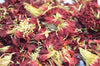 Carnation Flowers - Dried Flowers - DGStoreUK.com