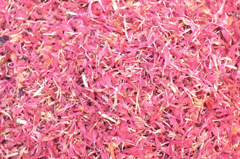 Pink Cornflower Confetti - Dried Flowers Market