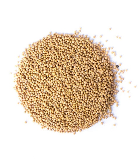 Mustard Seeds - White,Spice,DGStoreUK