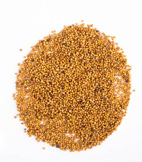 Mustard Seeds - Yellow,Spice,DGStoreUK